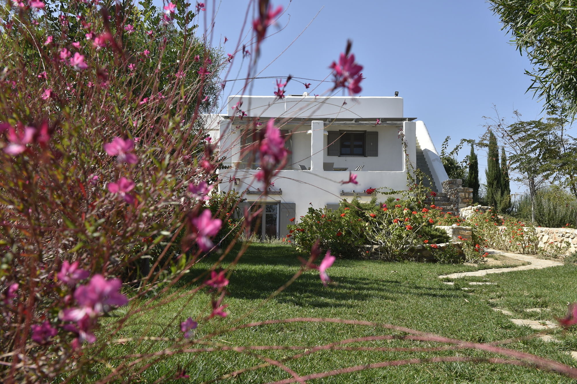 Naoussa Hills Boutique Resort- Adults Only Paro Esterno foto